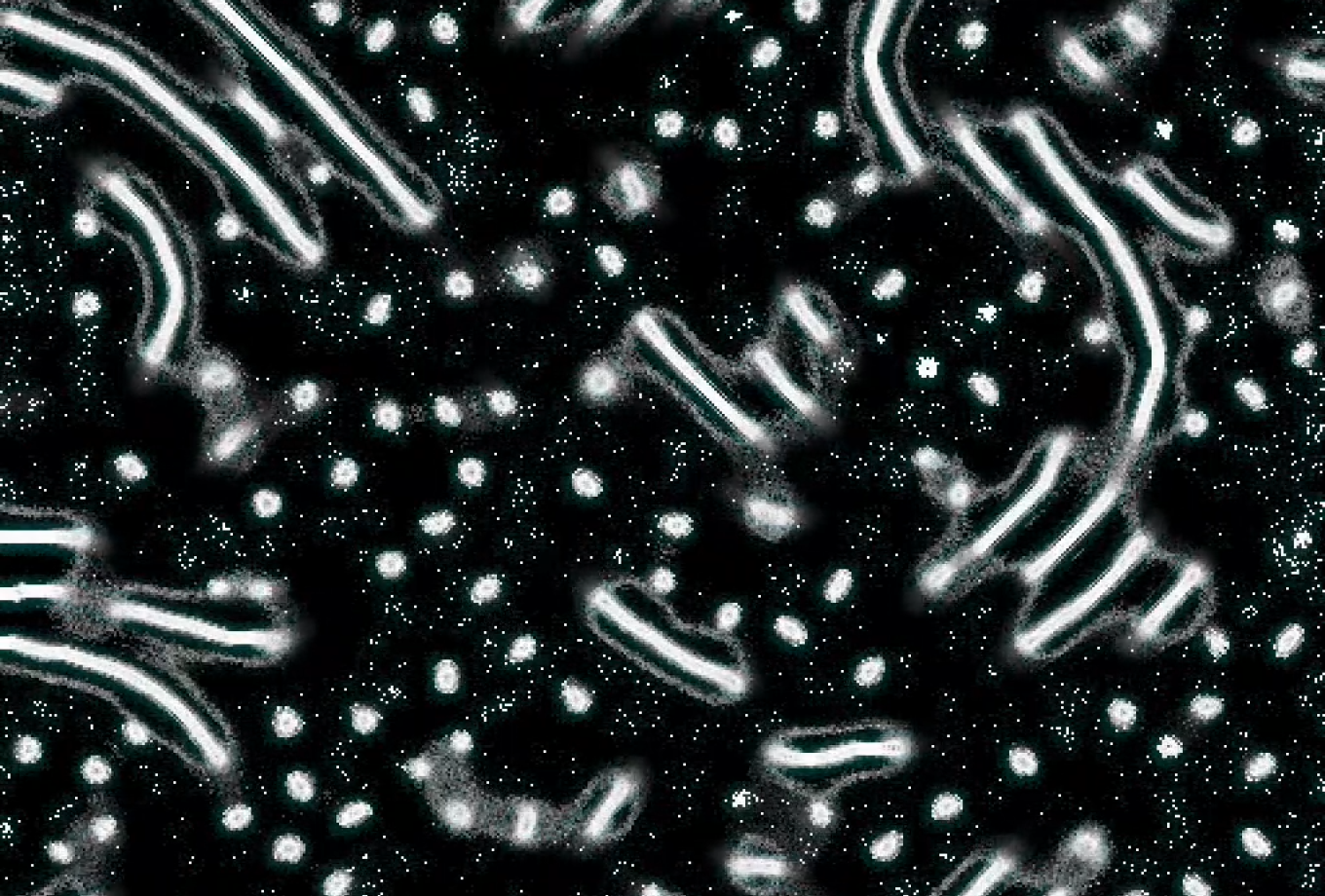 Compute Explorations